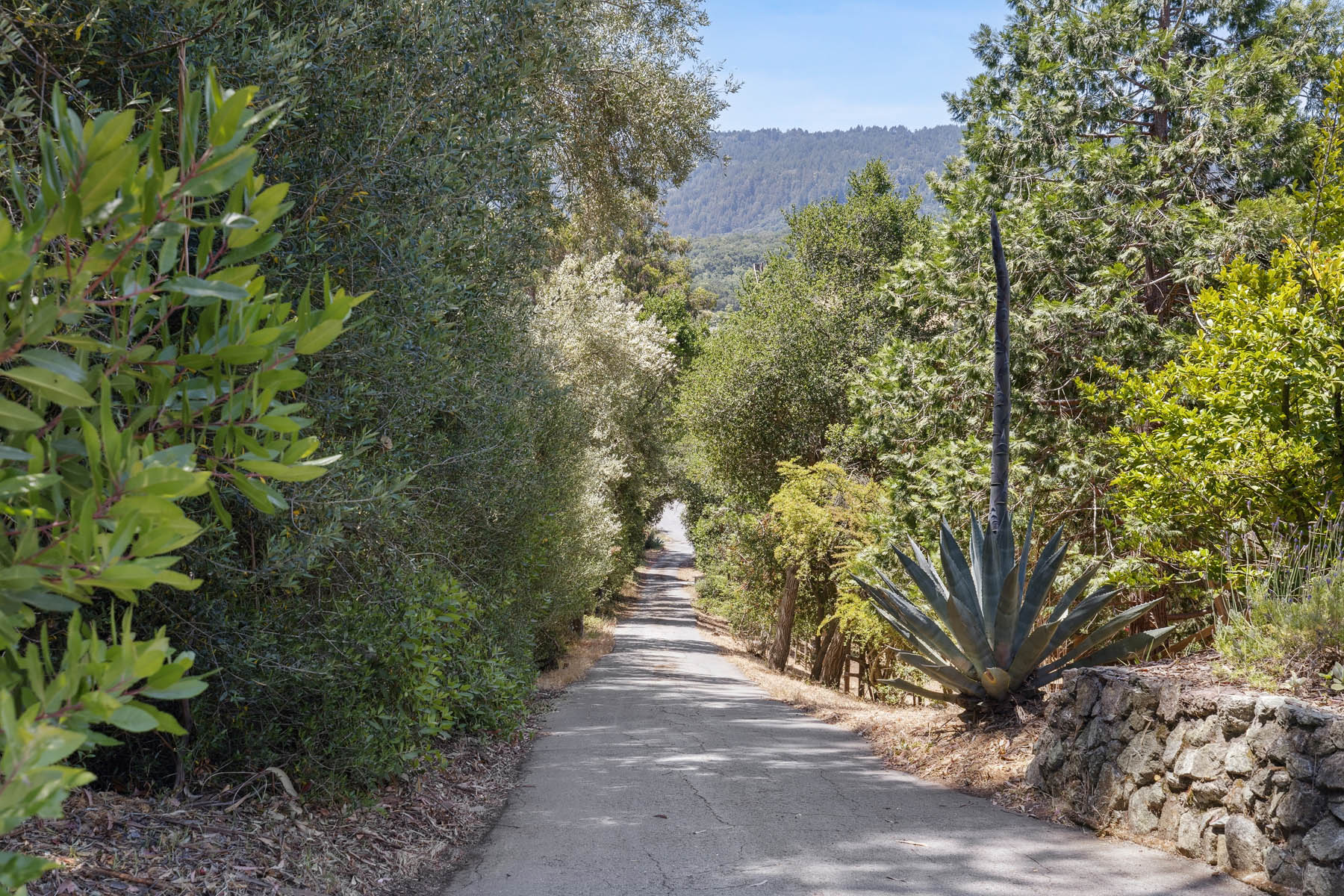 056-1207-godetia-drive.80123.p3k.065